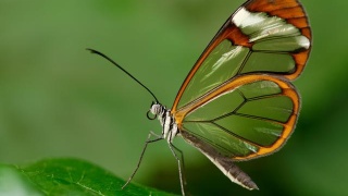 保价一万，“德邦”只赔一千？：必一·体育